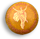 Guldgult rockmärke  med en kvinna i mitten och runt om texten: Congressional Union for Woman Suffrage