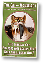Affisch med en illustration av en katt med en rösträttskvinna i munnen. Överst står "The Cat and Mouse Act" och underst "The Liberal Cat Electros Vote Against Him! Keep the Liberal Out!