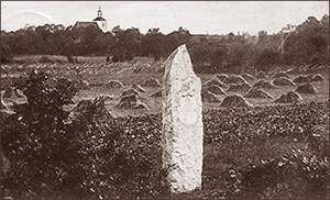 Foto med en ljus sten i mitten, omgiven av gräs och hö, i bakgrunden en skog bakom en kyrka kan anas