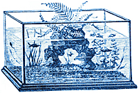 Illustration av ett gammaldags akvarium i blått
